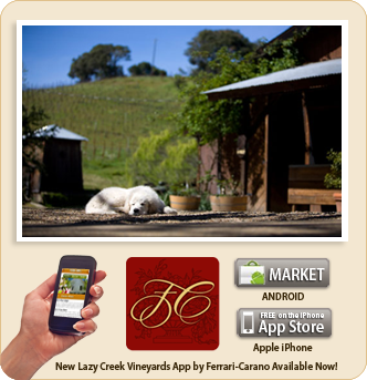 LCV app